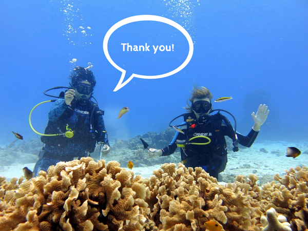 thank you humans 4 reefs corals